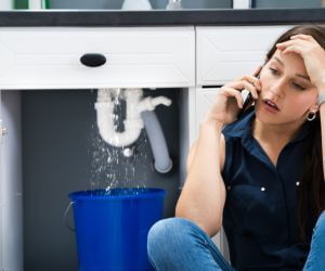 About Plumbers Pros La Joya, NM